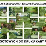 lasy-deszczowe-zielone-pluca-ziemi-gazetka-szkolna