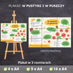 w-pustyni-i-w-puszczy-plakat-sketchnotka