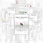 lapbook-chlopcy-z-placu-broni-pdf-do-druku