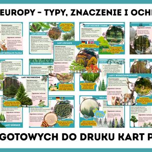 lasy-europy-typy-znaczenie-i-ochrona-gazetka-szkolna