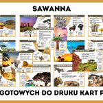 sawanna-gazetka-szkolna-pdf