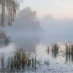 Balladyna – streszczenie w kilku zdaniach