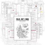 lapbook-felix-net-i-nika-oraz-gang-niewidzialnych-ludzi-pdf-do-druku