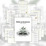 lapbook-ziele-na-kraterze-pdf-do-druku