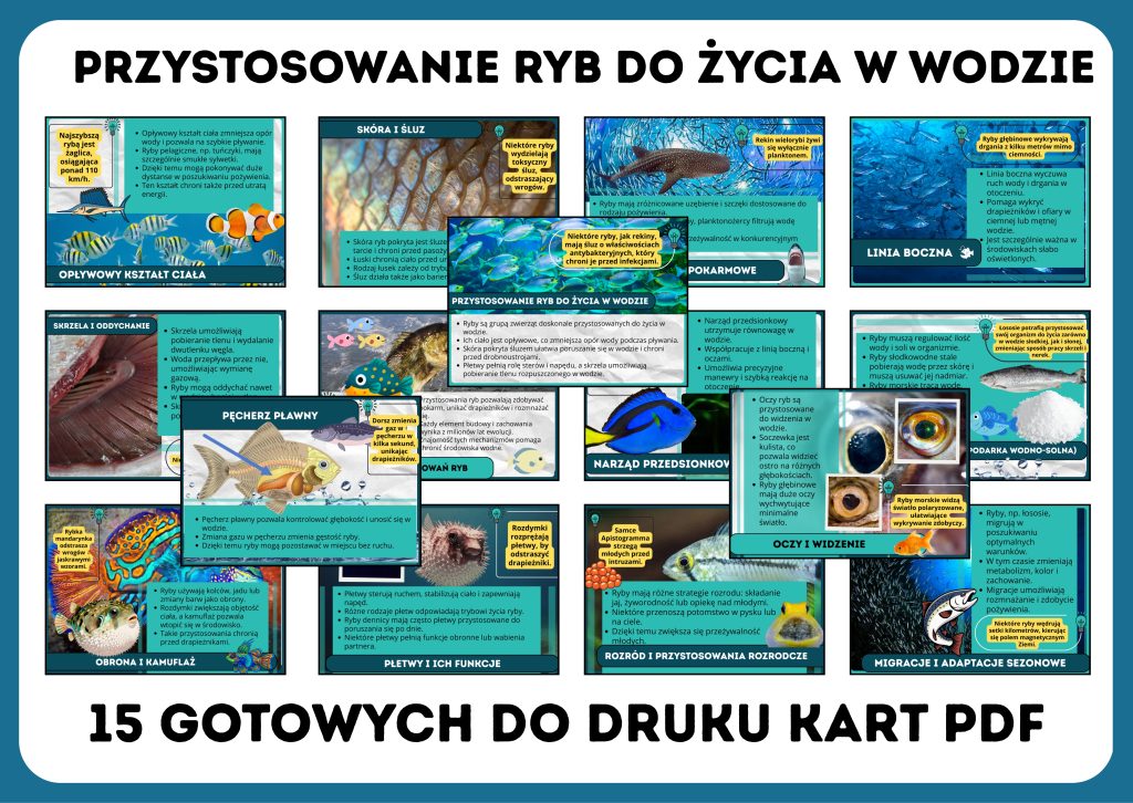 przystosowanie-ryb-do-zycia-w-wodzie-gazetka-szkolna