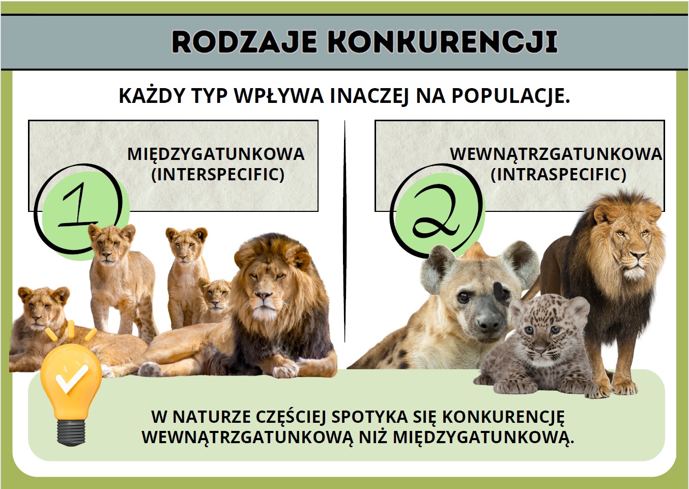 skutki-konkurencji-gatunkowej-gazetka-pdf-2