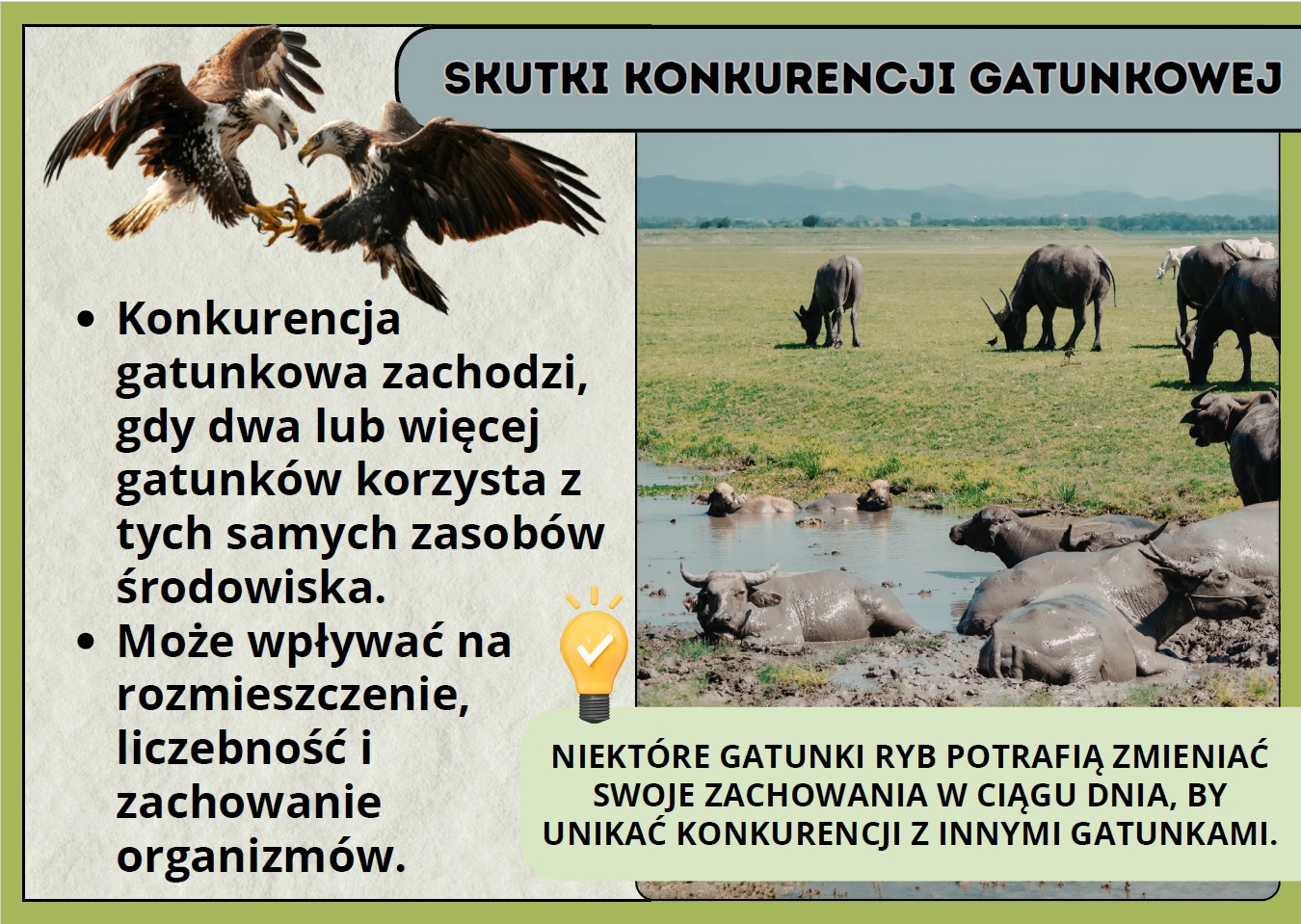 skutki-konkurencji-gatunkowej-gazetka-pdf