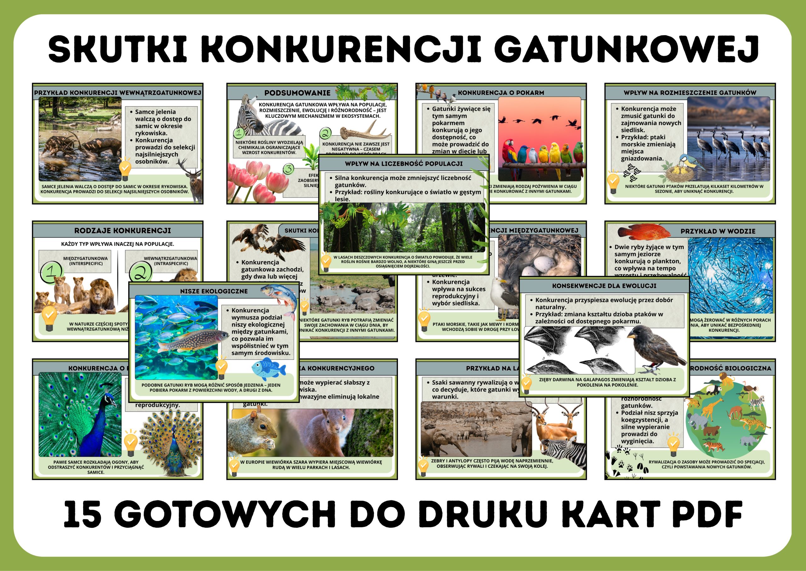 Skutki konkurencji gatunkowej - gazetka