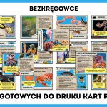 czym-sa-bezkregowce-gazetka-szkolna