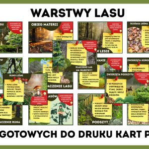 warstwy-lasu-gazetka-szkolna-prezentacja-pdf