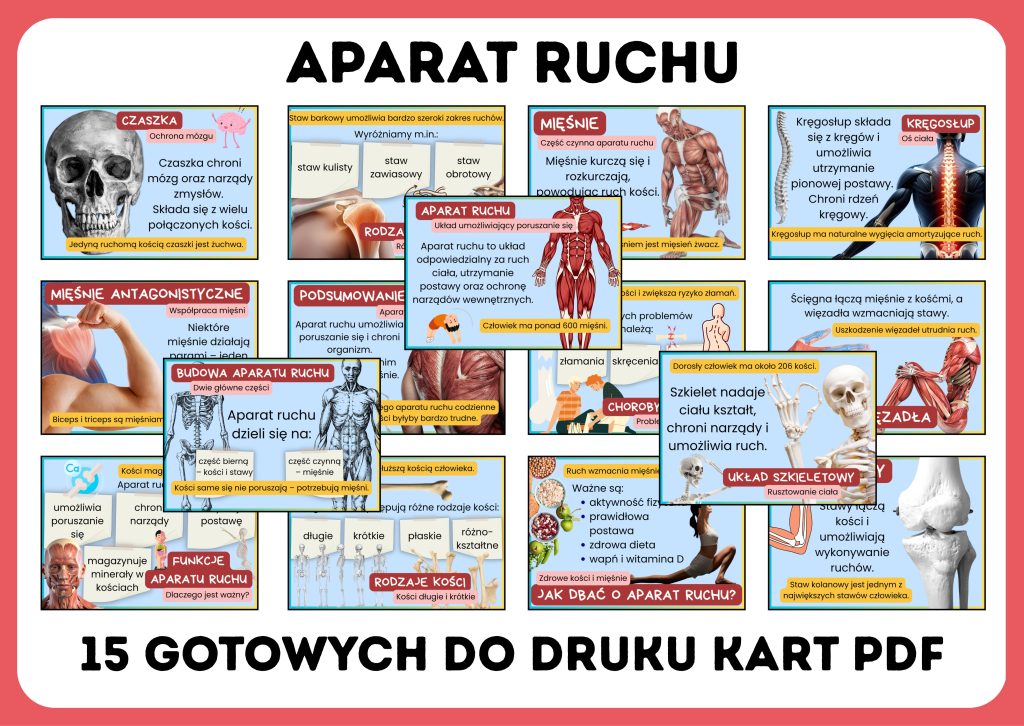 Czym jest aparat ruchu gazetka szkolna - prezentacja PDF