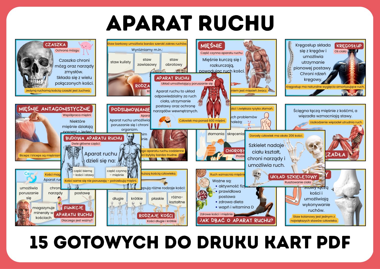 Czym jest aparat ruchu? gazetka szkolna - prezentacja PDF - 2026