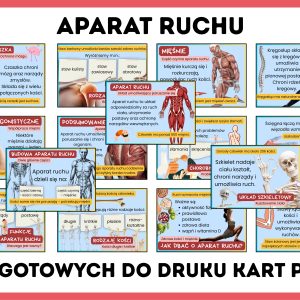 Czym jest aparat ruchu gazetka szkolna - prezentacja PDF
