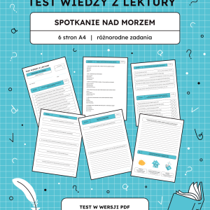 Test z lektury Spotkanie nad morzem – 6 stron A4 (PDF) sprawdzian
