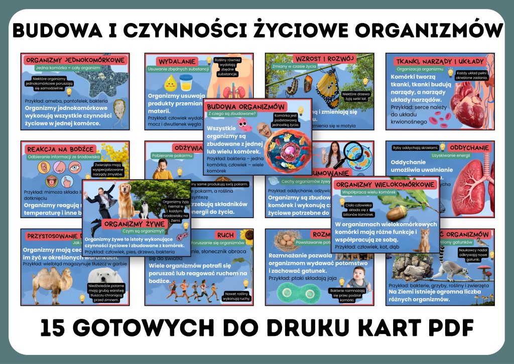 budowa-i-czynnosci-zyciowe-organizmow-gazetka-szkolna