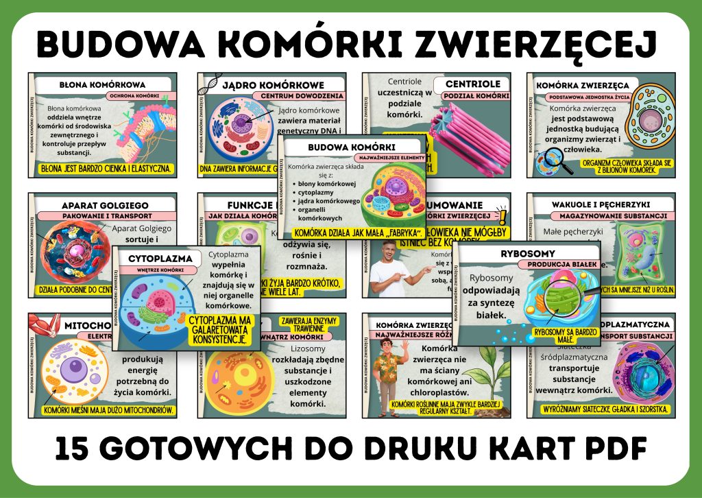 budowa-komorki-zwierzecej-gazetka-szkolna-prezentacja-pdf
