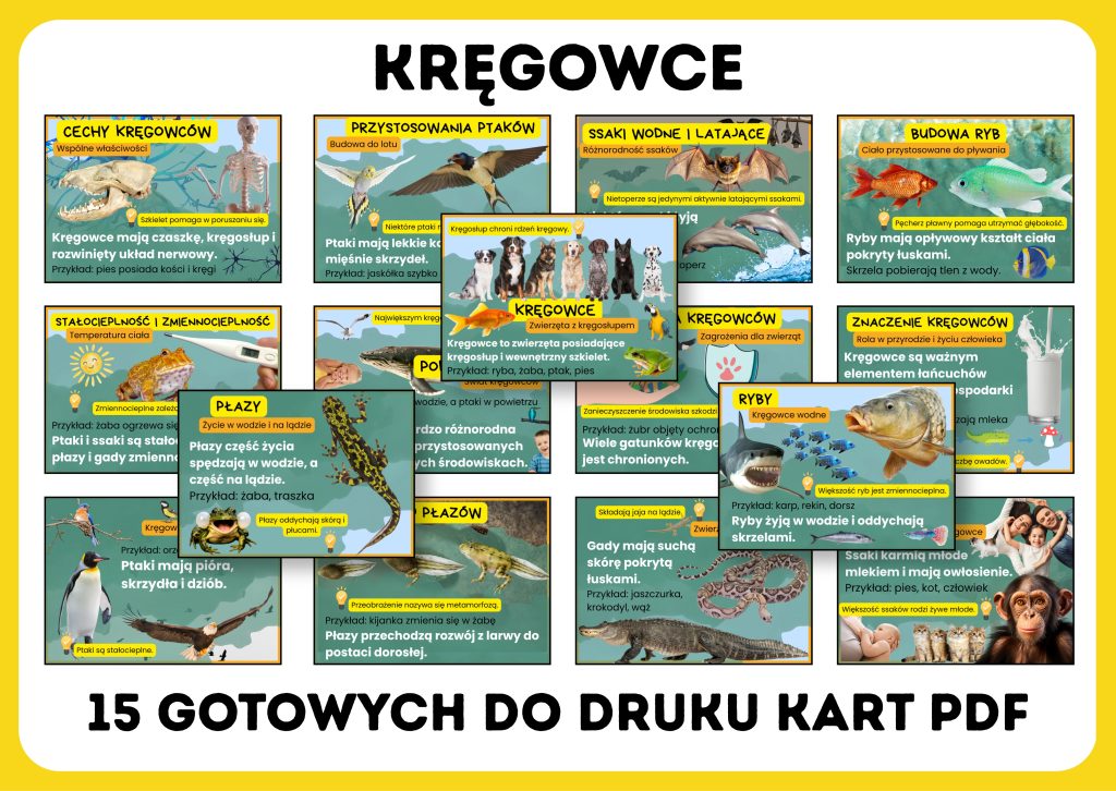 czym-sa-kregowce-gazetka-szkolna-prezentacja-pdf