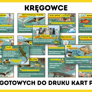 czym-sa-kregowce-gazetka-szkolna-prezentacja-pdf