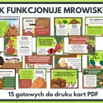 jak-funkcjonuje-mrowisko-gazetka-szkolna-prezentacja-pdf
