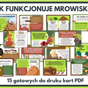 jak-funkcjonuje-mrowisko-gazetka-szkolna-prezentacja-pdf