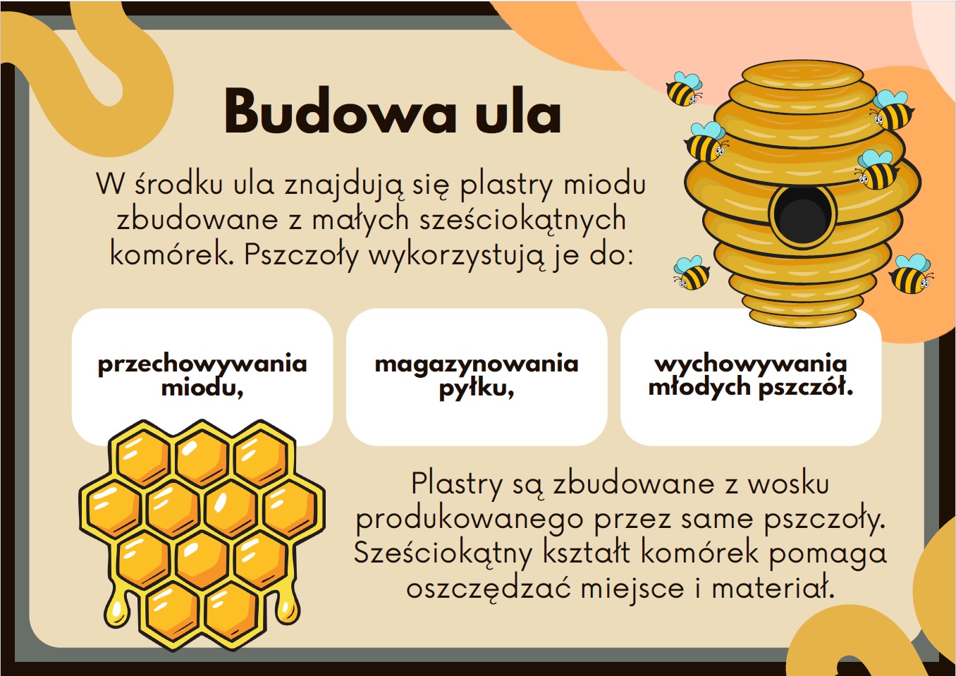 jak-funkcjonuje-ul-gazetka-szkolna-prezentacja-pdf-3