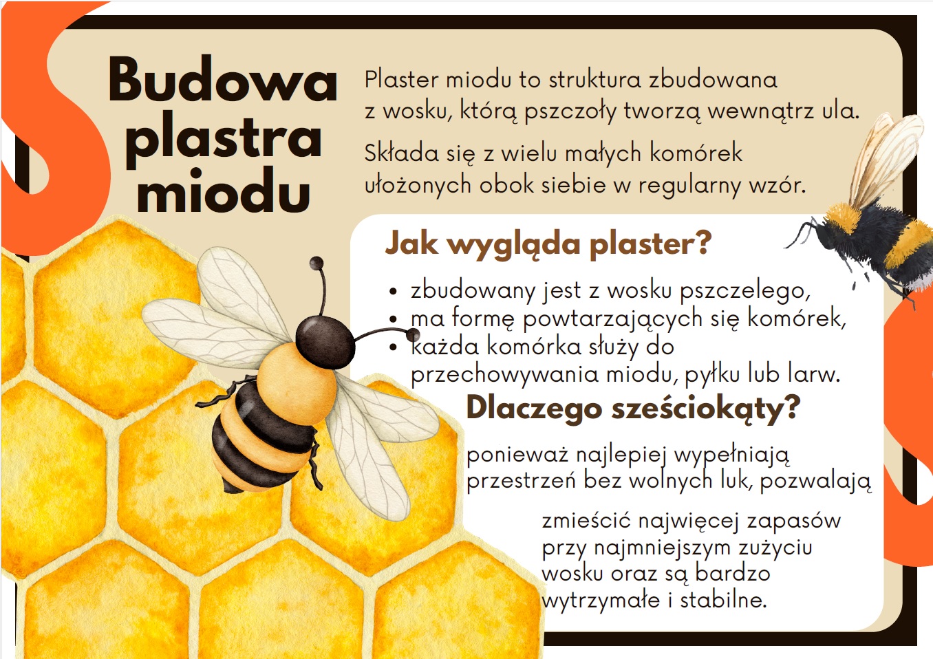 jak-funkcjonuje-ul-gazetka-szkolna-prezentacja-pdf-4