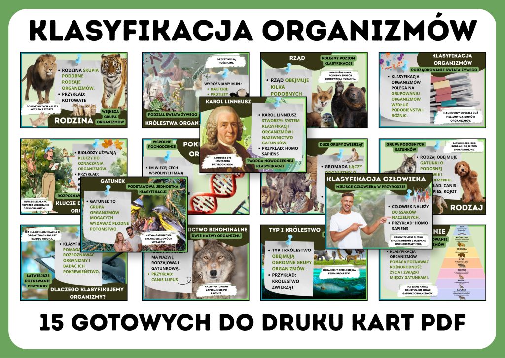 klasyfikacja-organizmow-gazetka-szkolna-prezentacja-pdf