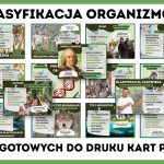 klasyfikacja-organizmow-gazetka-szkolna-prezentacja-pdf