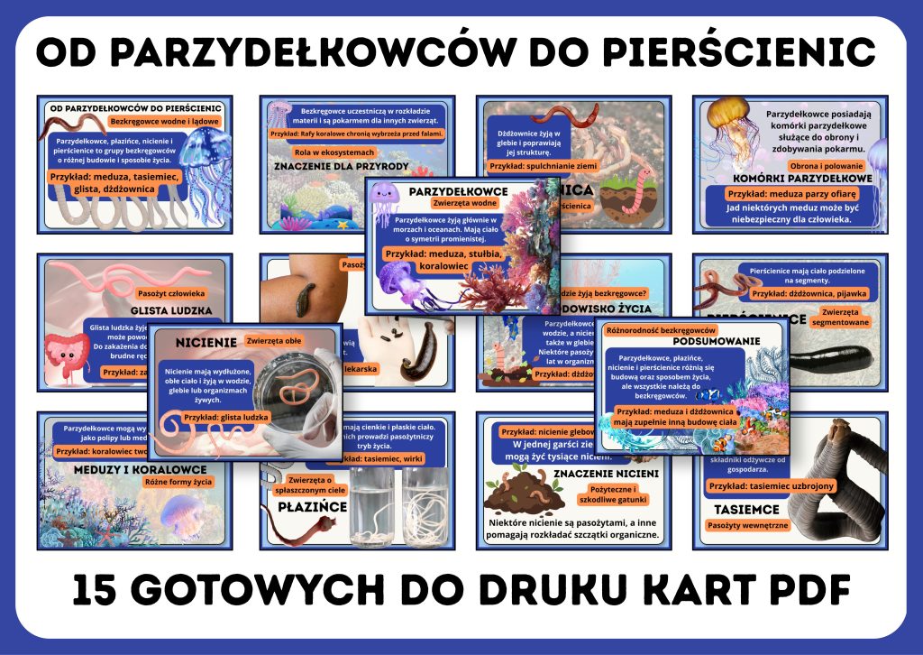 od-parzydelkowcow-do-pierscienic-gazetka-szkolna-prezentacja-pdf