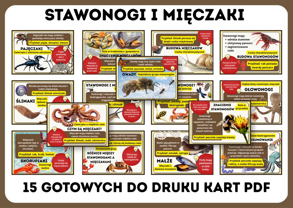 stawonogi-i-mieczaki-gazetka-szkolna-prezentacja-pdf