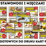 stawonogi-i-mieczaki-gazetka-szkolna-prezentacja-pdf