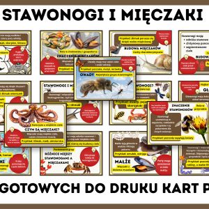 stawonogi-i-mieczaki-gazetka-szkolna-prezentacja-pdf