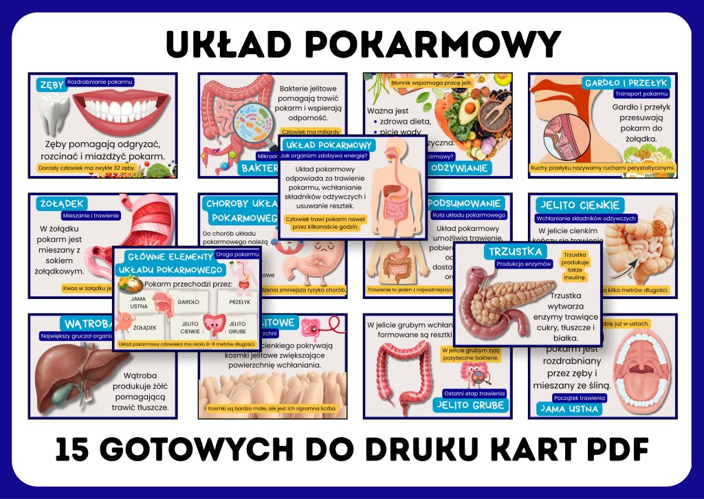 uklad-pokarmowy-gazetka-szkolna-prezentacja-pdf