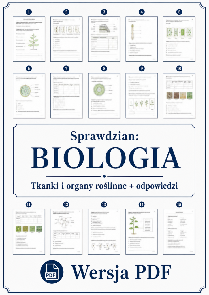 Sprawdzian z BIOLOGII (klasa 5 dział 4) – Tkanki o organy roślinne + odpowiedzi