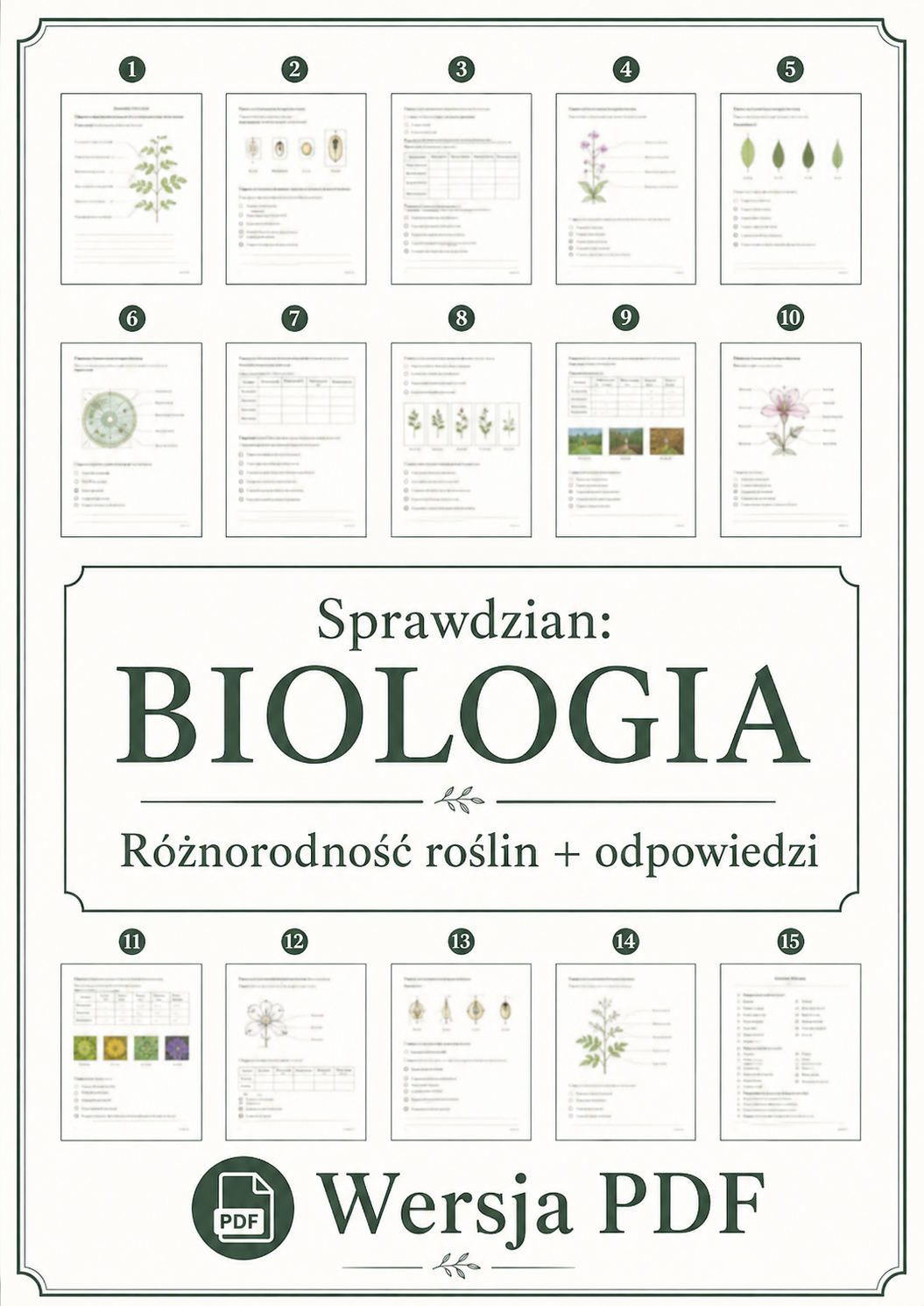 Sprawdzian z BIOLOGII (klasa 5 dział 5) – Różnorodność roślin + odpowiedzi