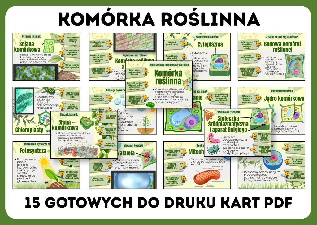 komorka-roslinna-gazetka-szkolna-prezentacja-pdf-4
