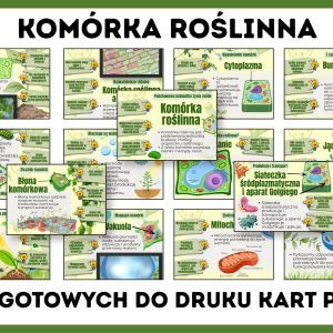 komorka-roslinna-gazetka-szkolna-prezentacja-pdf-4