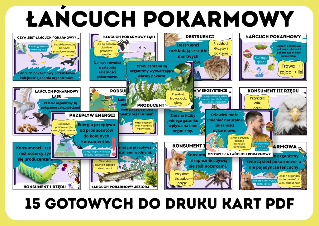 lancuch-pokarmowy-gazetka-szkolna-prezentacja-pdf