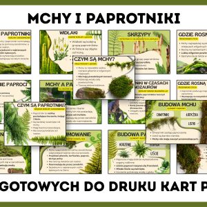 mchy-i-paprotniki-gazetka-szkolna-prezentacja-pdf