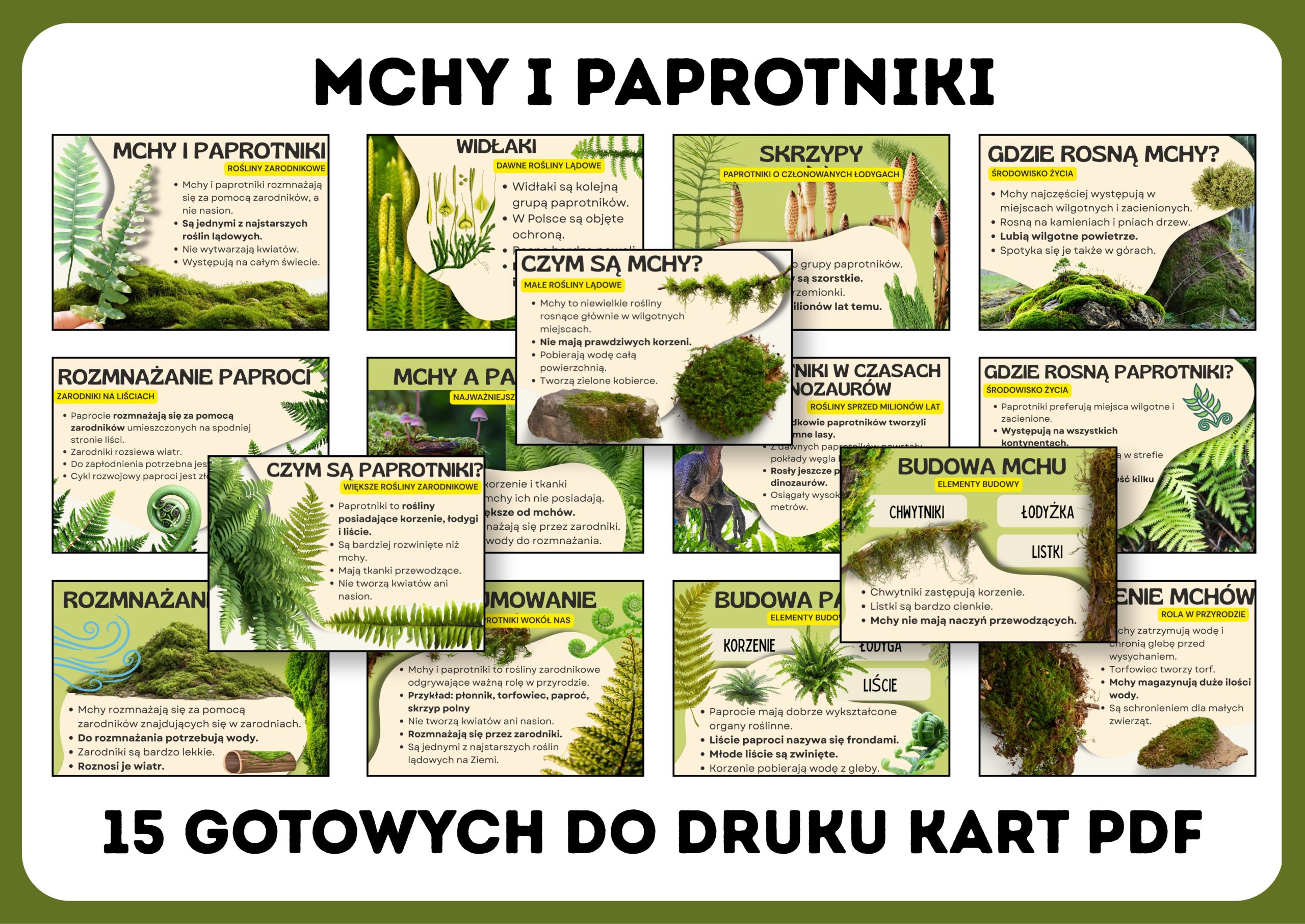 mchy-i-paprotniki-gazetka-szkolna-prezentacja-pdf