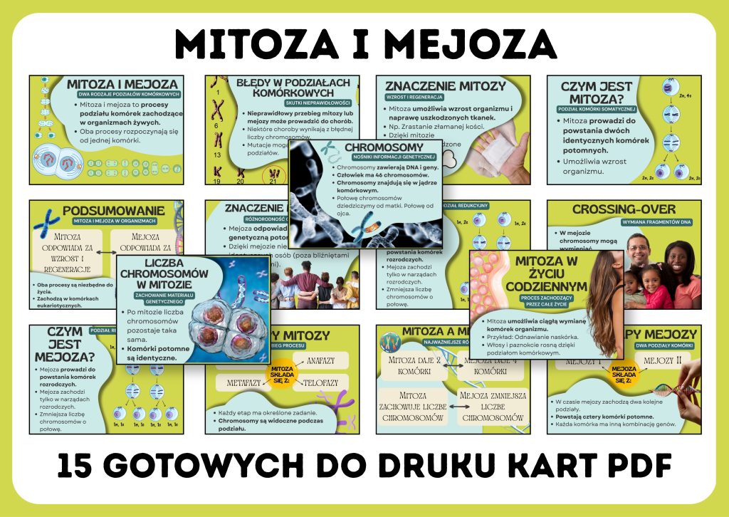 mitoza-i-mejoza-gazetka-szkolna-prezentacja-pdf