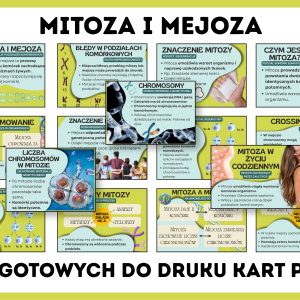 mitoza-i-mejoza-gazetka-szkolna-prezentacja-pdf
