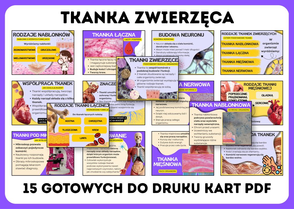 tkanka-zwierzeca-gazetka-szkolna-prezentacja-pdf