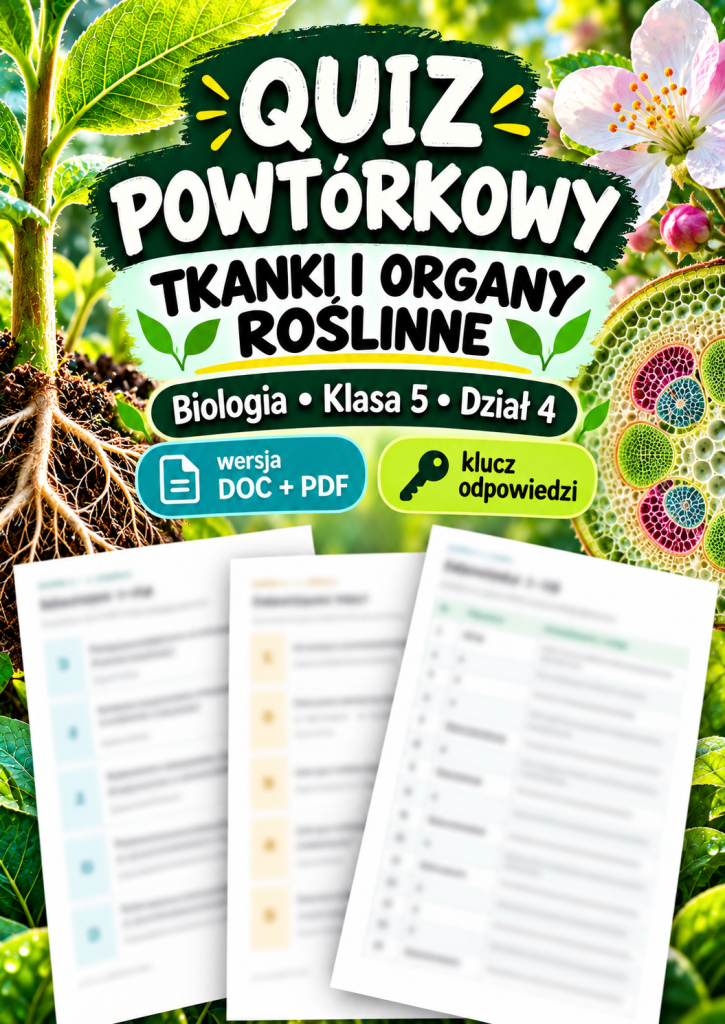 Quiz powtórkowy z biologii – klasa 5, dział 4 „Tkanki i organy roślinne”