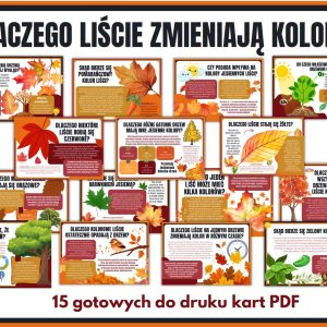 dlaczego-liscie-zmieniaja-kolory-gazetka-szkolna-prezentacja-pdf