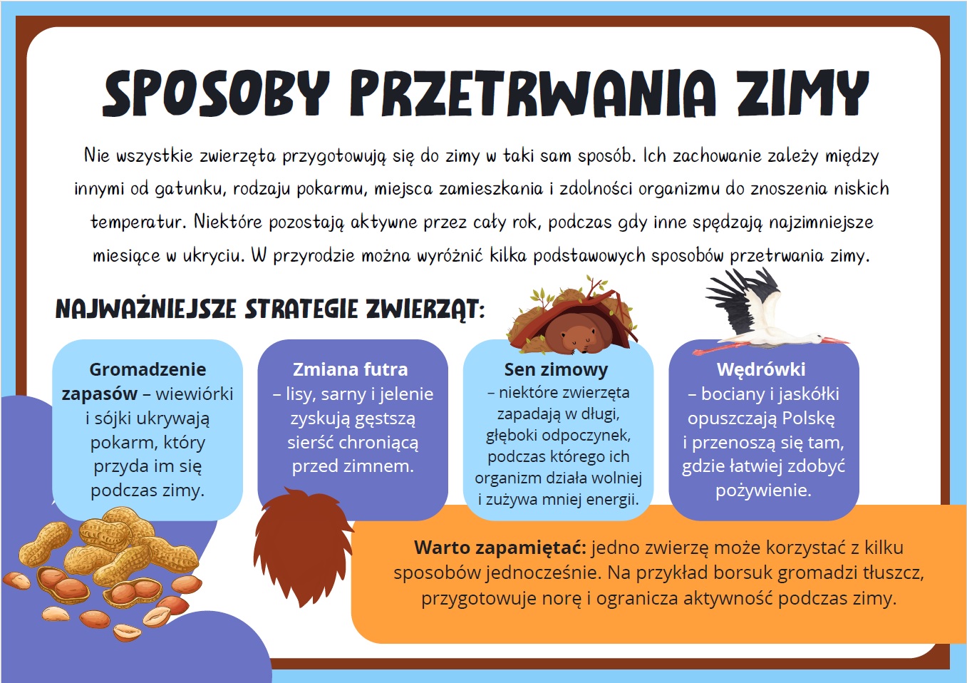 jak-zwierzeta-przygotowuja-sie-do-zimy-gazetka-szkolna-prezentacja-pdf-3
