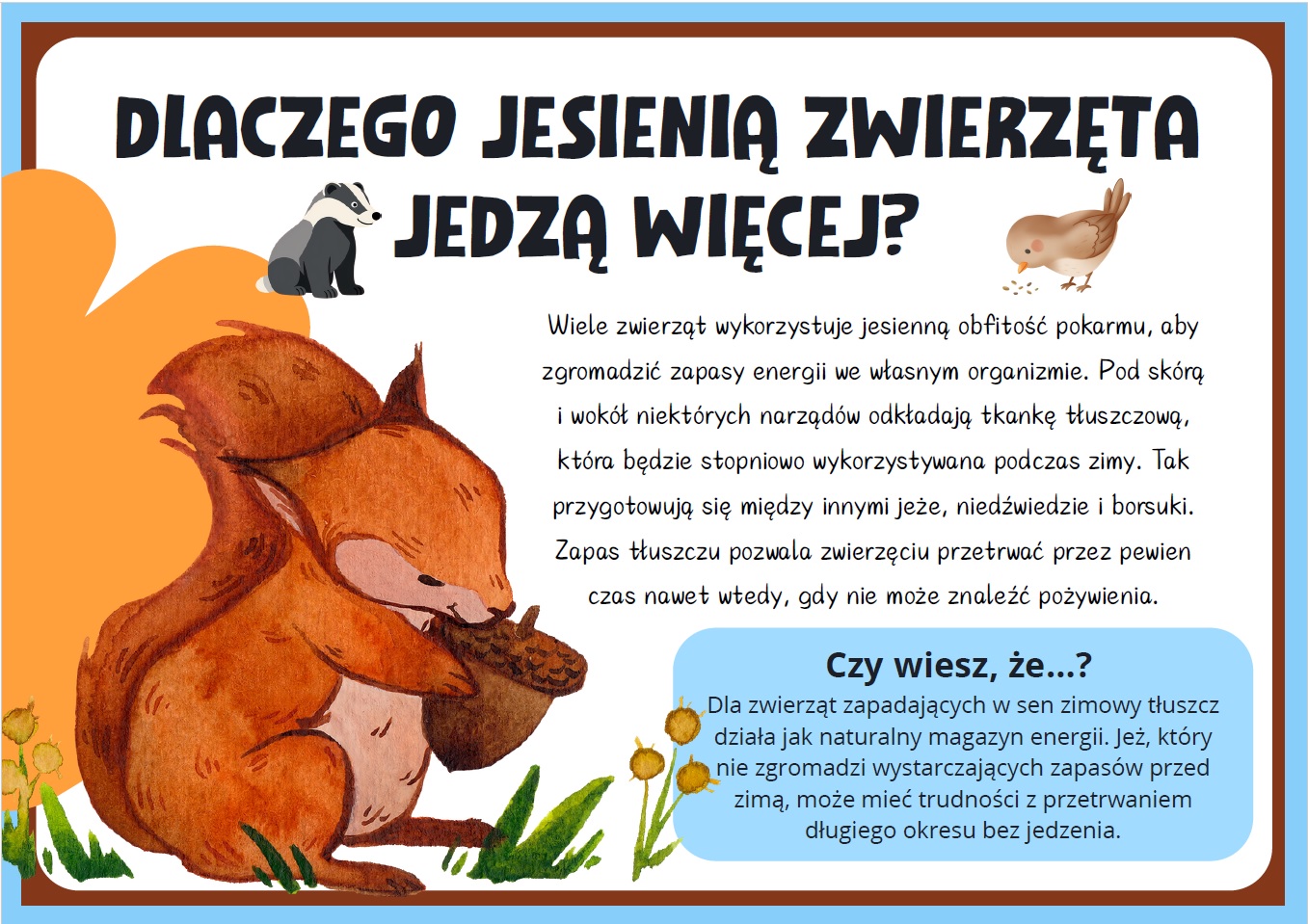 jak-zwierzeta-przygotowuja-sie-do-zimy-gazetka-szkolna-prezentacja-pdf-4