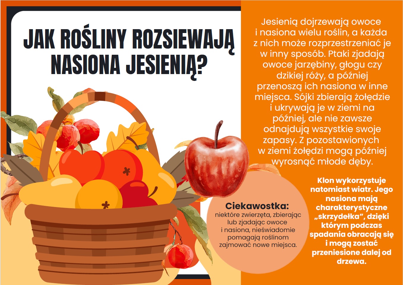 witaj-jesieni-oznaki-jesieni-zmiany-i-jesienny-kalendarz-gazetka-szkolna-prezentacja-4